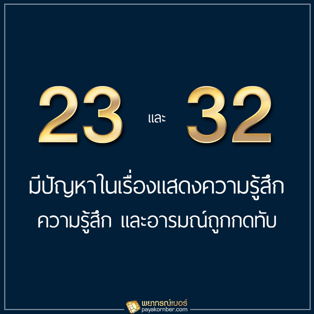 23/32 มีปัญหาในเรื่องแสดงความรู้สึก ความรู้สึก และอารมณ์ถูกกดทับ